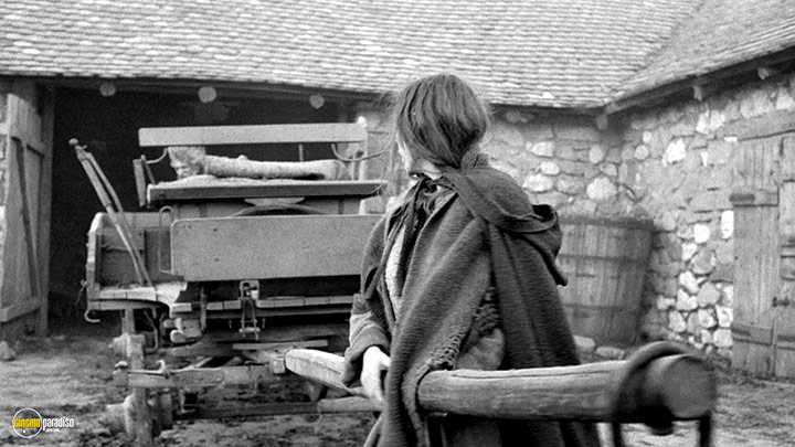 A still #13 from The Turin Horse (2011) With Erika Bók