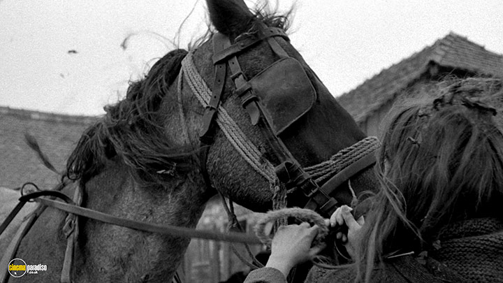 A still #8 from The Turin Horse (2011)