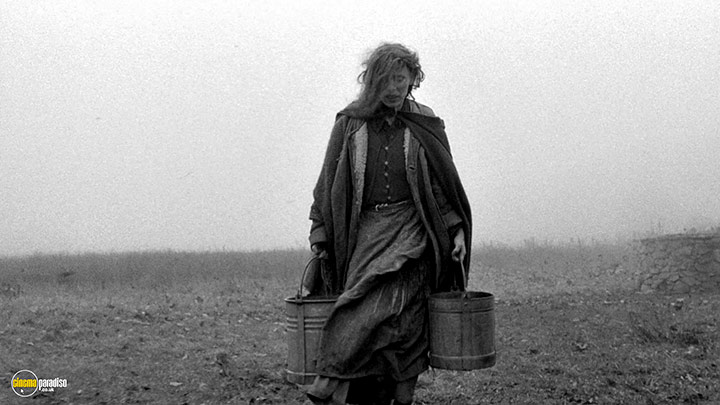 A still #16 from The Turin Horse (2011) With Erika Bók