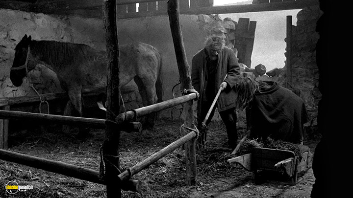 A still #17 from The Turin Horse (2011)