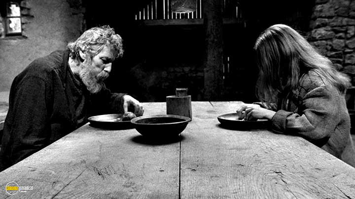 A still #12 from The Turin Horse (2011) With János Derzsi And Erika Bók