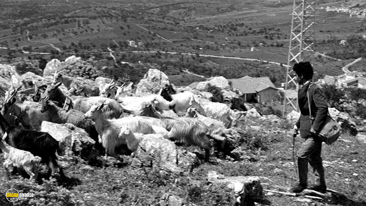 A still #10 from Salvatore Giuliano (1962)
