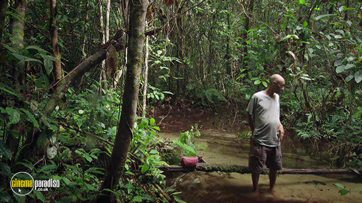 A still #2 from Song from the Forest (2013)