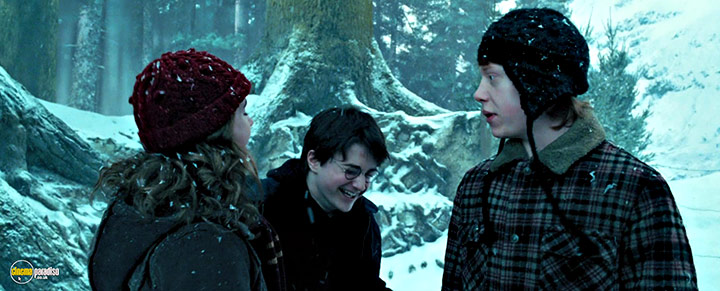 A still #10 from Harry Potter and the Deathly Hallows: Part 2 (2011) With Daniel Radcliffe And Rupert Grint