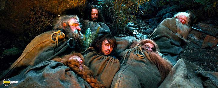 A still #9 from The Hobbit: An Unexpected Journey (2012) With Richard Armitage, Aidan Turner And Peter Hambleton