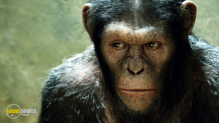 A still #1 from Rise of the Planet of the Apes (2011)