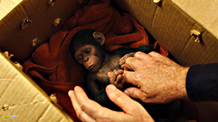 A still #7 from Rise of the Planet of the Apes (2011)