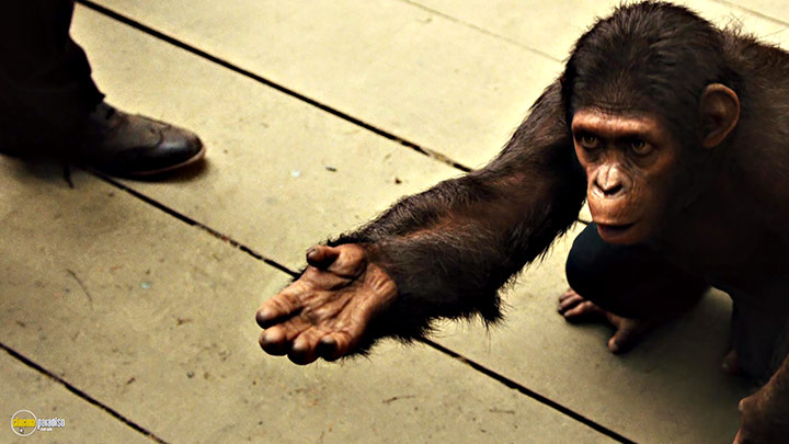 A still #14 from Rise of the Planet of the Apes (2011)