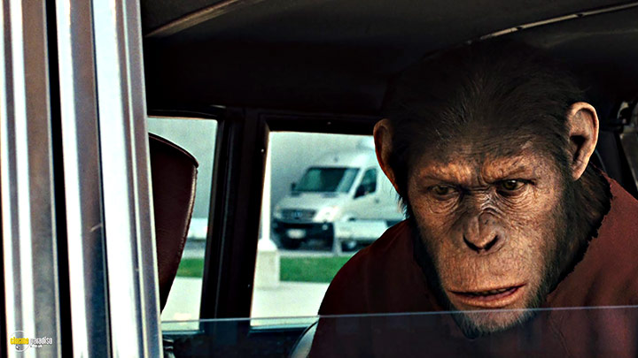 A still #18 from Rise of the Planet of the Apes (2011)