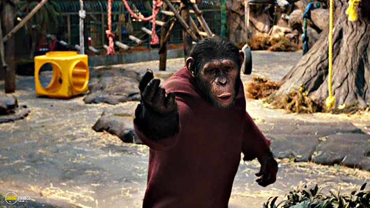 A still #24 from Rise of the Planet of the Apes (2011)
