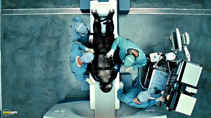 A still #26 from Rise of the Planet of the Apes (2011)