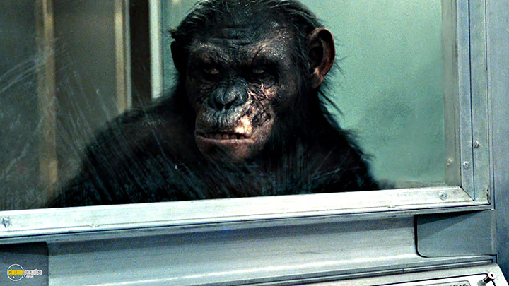A still #29 from Rise of the Planet of the Apes (2011)