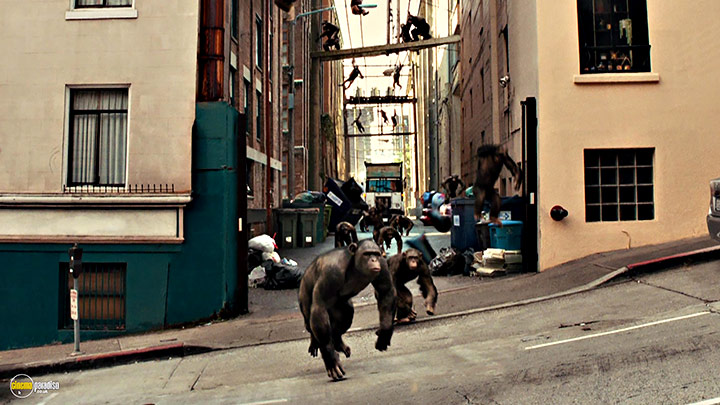 A still #34 from Rise of the Planet of the Apes (2011)