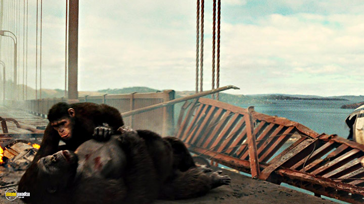 A still #36 from Rise of the Planet of the Apes (2011)