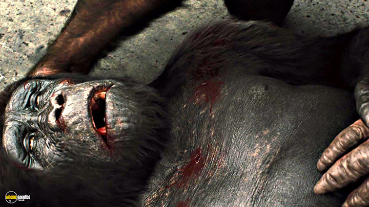 A still #37 from Rise of the Planet of the Apes (2011)