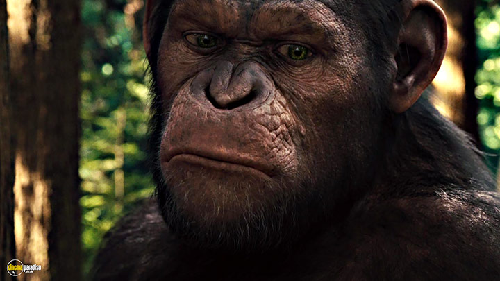 A still #38 from Rise of the Planet of the Apes (2011)