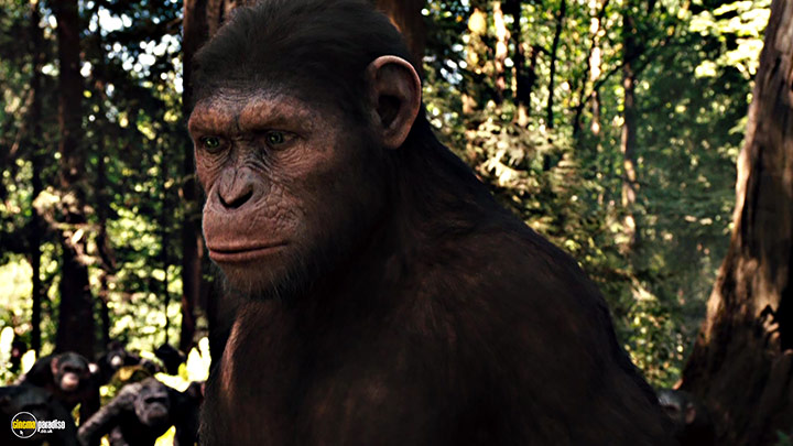 A still #40 from Rise of the Planet of the Apes (2011)