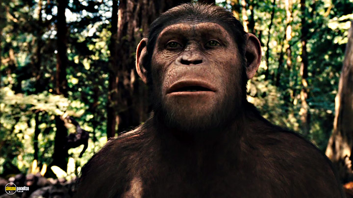 A still #41 from Rise of the Planet of the Apes (2011)