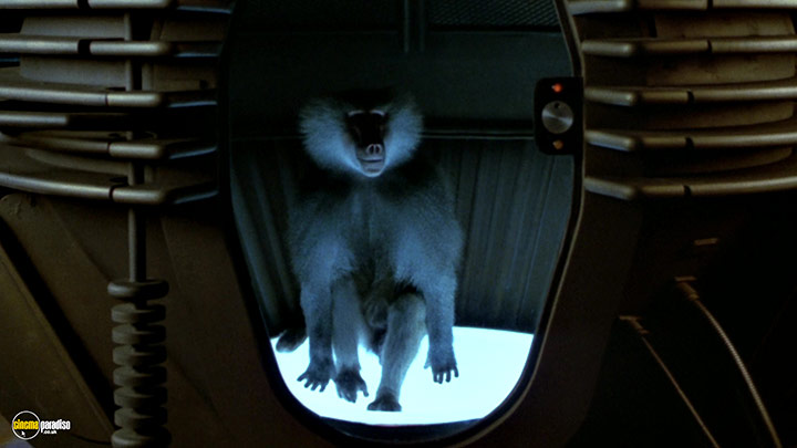 A still #26 from The Fly (1986)