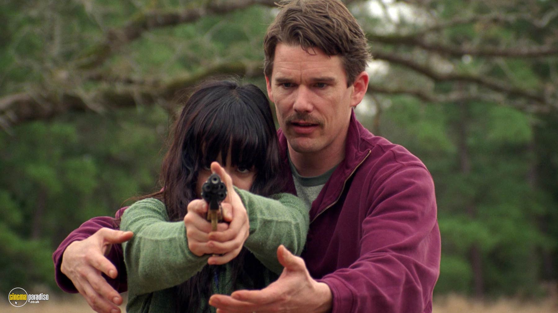A still from Boyhood (2014) With Ethan Hawke