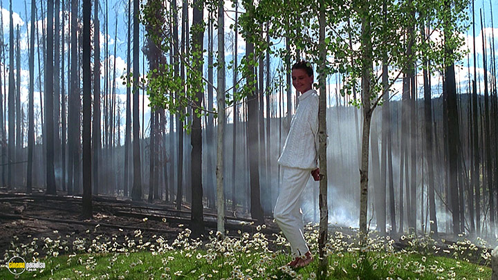 A still #8 from Always (1989)