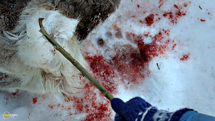 A still #24 from Rare Exports: A Christmas Tale (2010)