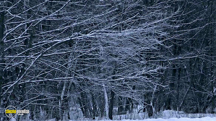 A still #14 from No Place on Earth (2012)