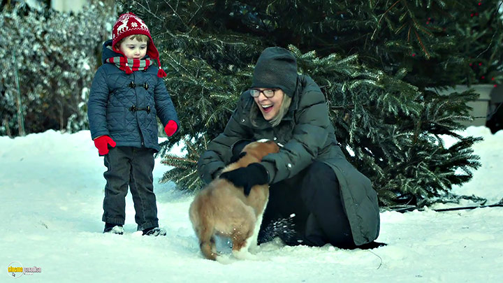 A still #16 from Christmas with the Coopers (2015)
