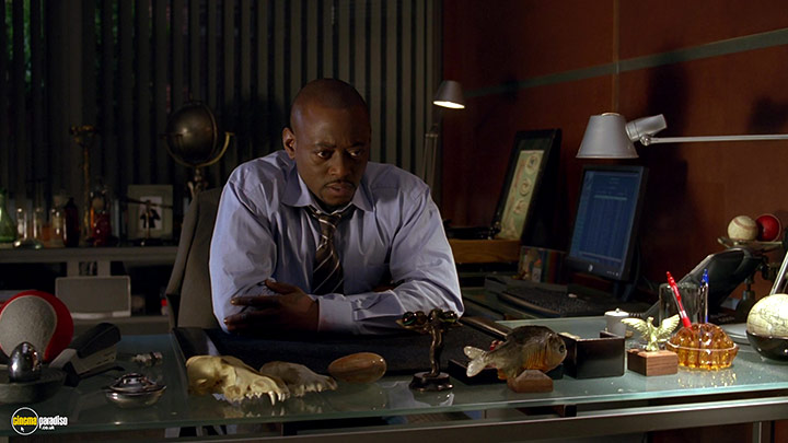 A still #2 from House M.D.: Series 6 (2009)