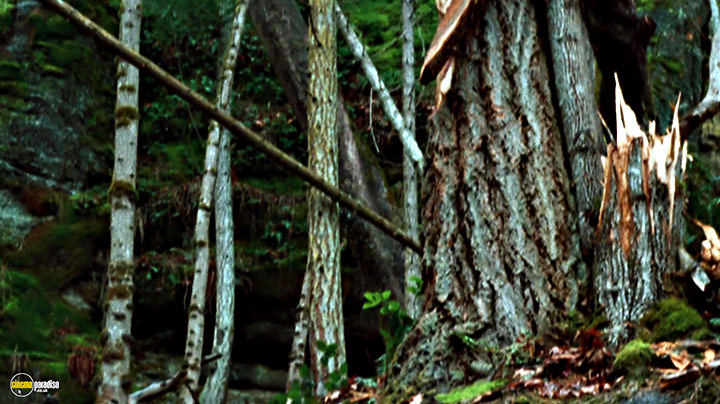 A still #32 from Wrecked (2011)
