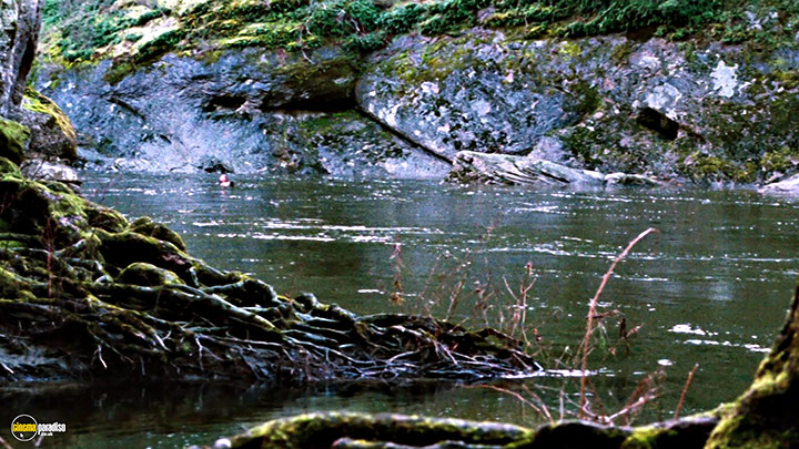 A still #15 from Wrecked (2011)