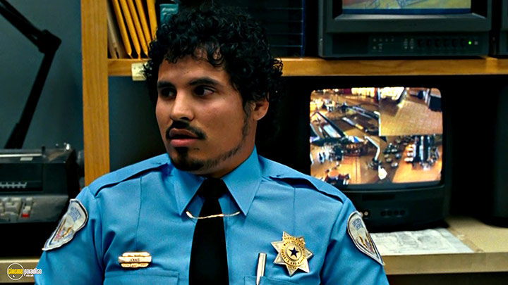 A still #37 from Observe and Report (2009)