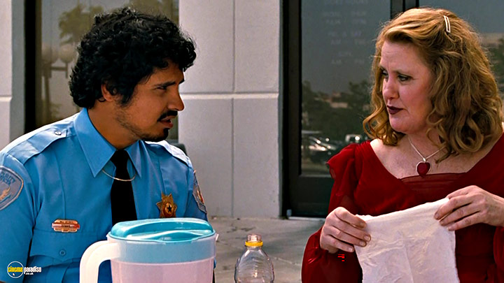 A still #18 from Observe and Report (2009)