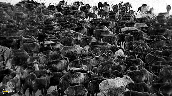 A still #29 from Man with a Movie Camera (1929)