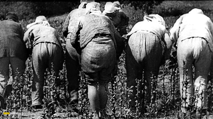 A still #32 from Man with a Movie Camera (1929)