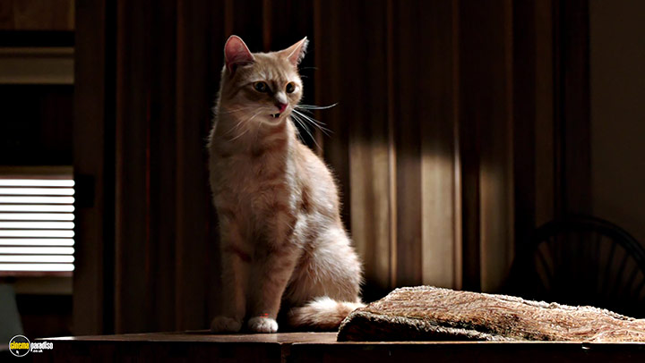 A still #5 from The Voices (2014)