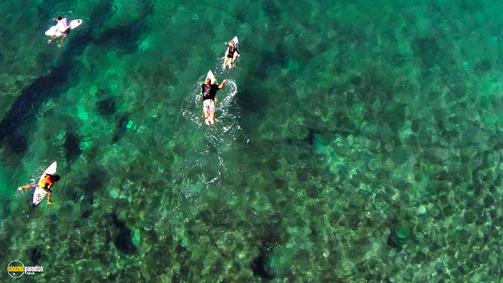 A still #35 from The Search for Freedom (2015)