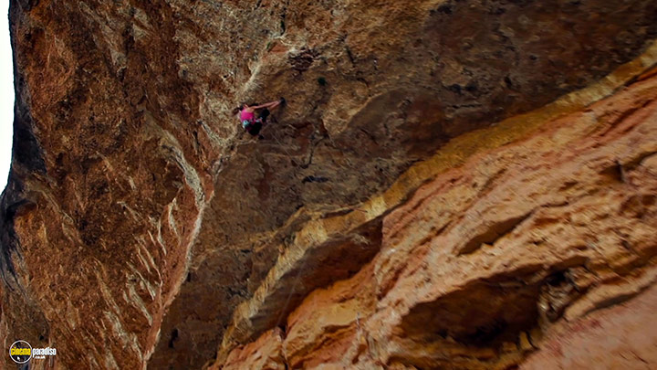 A still #8 from The Search for Freedom (2015)