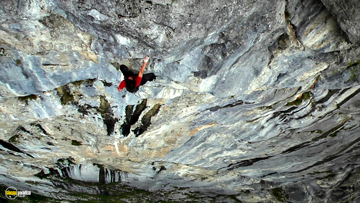 A still #6 from The Search for Freedom (2015)