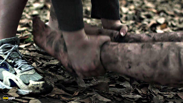 A still #5 from Holidays (2016)