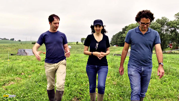 A still #18 from At the Fork (2016)