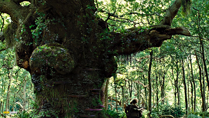 A still #19 from Snow White and the Huntsman: Extended Edition (2012)