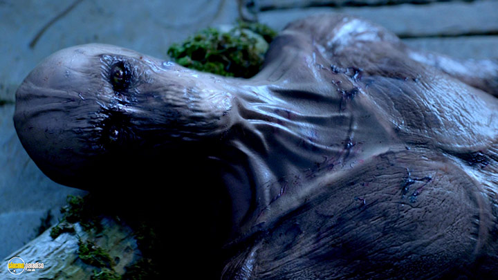 A still #40 from The Shannara Chronicles: Series 1 (2016)
