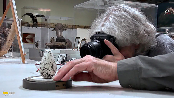 A still #8 from An Art That Nature Makes (2015)