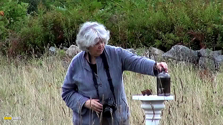 A still #4 from An Art That Nature Makes (2015)