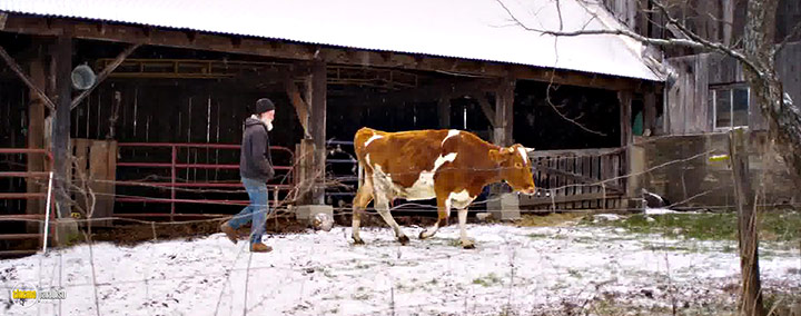 A still #22 from Peter and the Farm (2016)