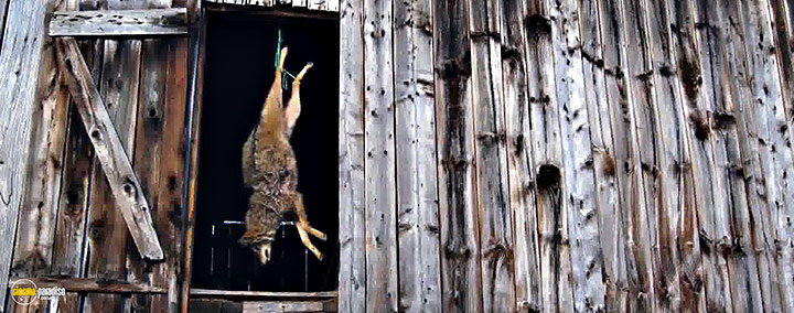 A still #21 from Peter and the Farm (2016)
