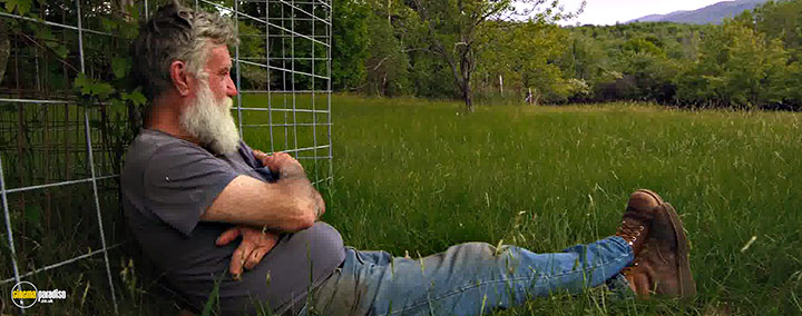 A still #2 from Peter and the Farm (2016)