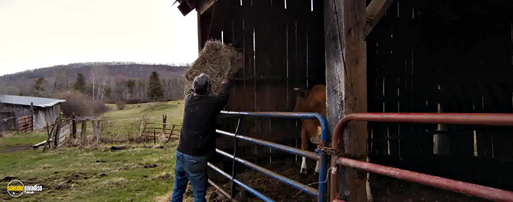 A still #12 from Peter and the Farm (2016)