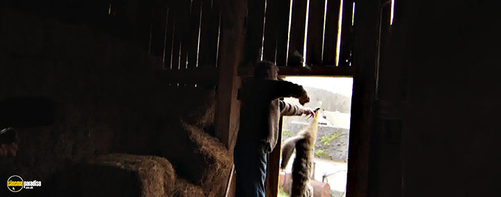A still #11 from Peter and the Farm (2016)